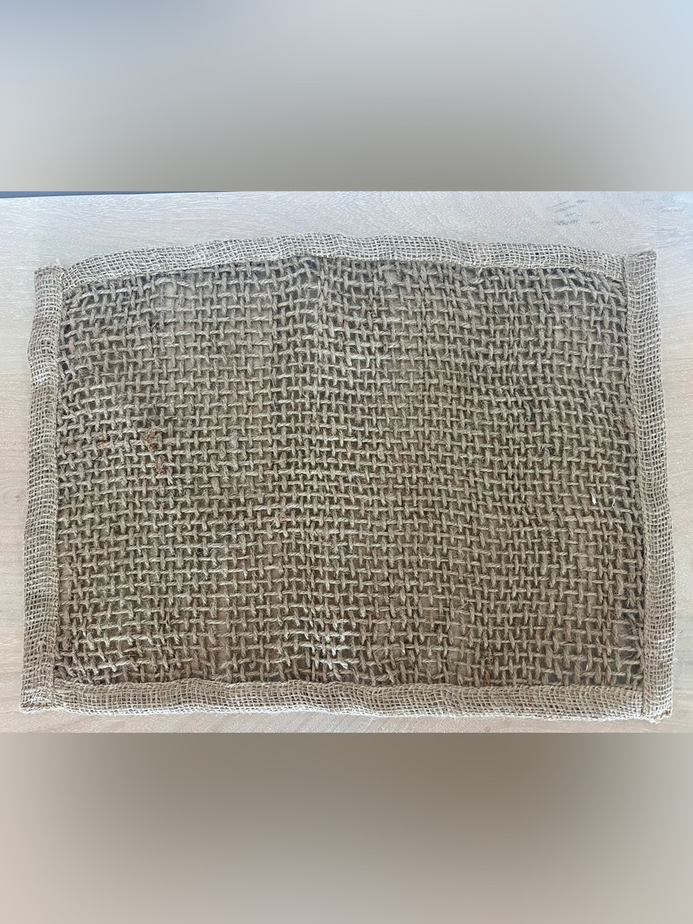 NWT- Santa Barbara Design Studio Jute Placemats – Set of 8